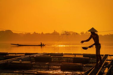 Balıkçı balıkları Mekong nehrindeki ticari bir çiftlikte besliyor. Çiftçiler Mekong Nehri 'nde kafeslerde balık besliyor. Tayland 'ın kuzeydoğusunda balık beslemek için Tilapia..