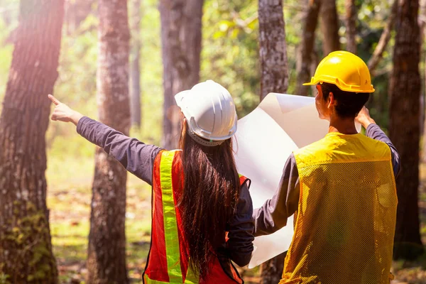 Наглядачі Будують Дороги Лісі Молодий Інженер Жінка Тримає Відбиток Руці — стокове фото