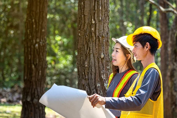 Nadzorcy Budują Drogi Lesie Młoda Inżynier Kobieta Trzymająca Projekt Pod — Zdjęcie stockowe