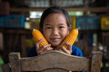 A rural girl Showing off the corn that is produced by the family. Little girl smiles and holding sweet corn on hand.
