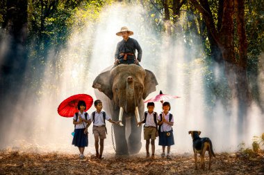 Mahout ve üniformalı çocuklar ormanda Tha Tum District, Surin, Tayland 'da bir köpekle yürüme yolu üzerinde fil yetiştiriyorlar. 