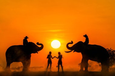 Gün batımına karşı Muay Thai boksörlerinin ve fillerin siluetleri, Krapho, Tha Tum District, Surin, Tayland 