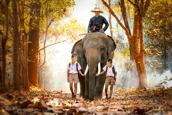 Mahout Une Étudiante Asiatique Uniforme Élèvent Des Éléphants Sur Une — Photo