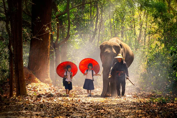 Vie Communautaire Des Écoliers Des Éléphants Étudiant Petit Asiatique Élèvent — Photo