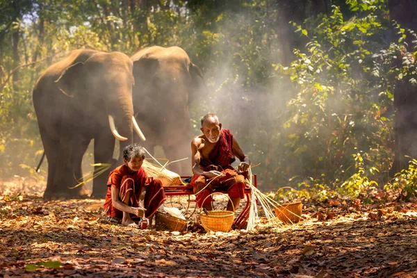 Människor Landsbygden Natur Vävning Bambu Korg Stora Elefanter Bakgrunden Surin — Stockfoto