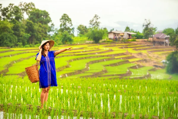 Девушка Пакхайо Гуляет Рисовым Террасам Пан Бонг Пьянг Северный Регион — стоковое фото