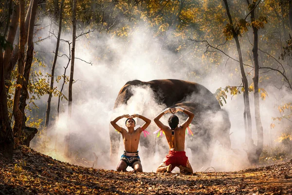 Wai Kru Boksz Zene Boxolni Elefántokkal Háttér Krapho Tha Tum — Stock Fotó