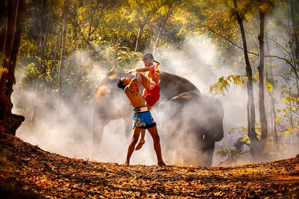 Боксеры Бой Природе Слоны Заднем Плане Крапхо Округ Тха Тум — стоковое фото