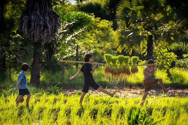 Três Meninos Meninas Brincando Nos Campos Durante Temporada Agrícola Modo — Fotografia de Stock