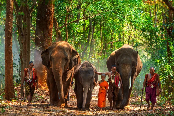 Elefántok Emberek Thaiföld Thaiföld — Stock Fotó