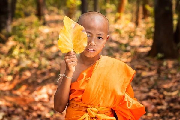 Senyum Pemula Memegang Daun Daun Pohon Pemuda Buddha Pemula Hutan — Stok Foto