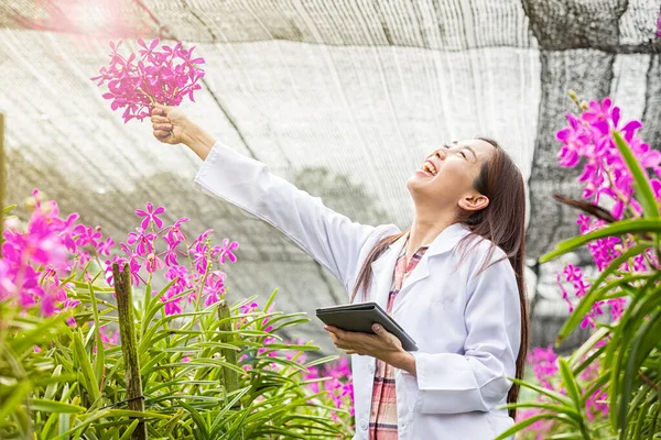 Scientists are enjoying their work. Positive young asian at gardening specialist in orchids. botanist or biologist holding tablet and orchids in hand. Selective focus.