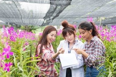 Genç çiftçiler ve genç bilim adamları deneysel çalışmalarından memnunlar. Bilim kadını, çiçek bahçesinin deneysel tarlasında birlikte çalışır..