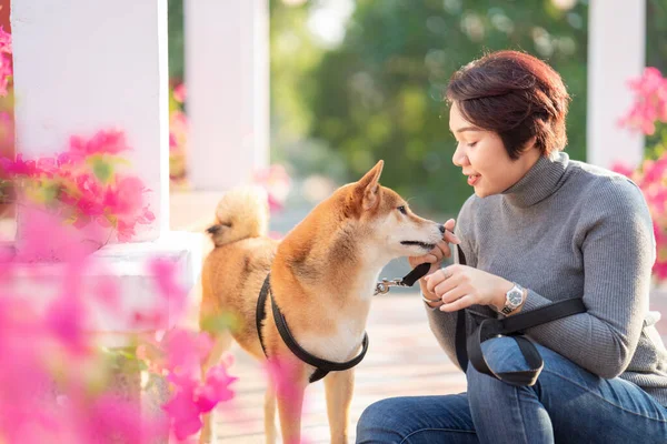 ペットの恋人の概念 アジア系の女の子が柴犬と遊んでいる 夏の公園で抱きつく女と犬 — ストック写真