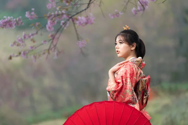 穿着和服拿着红色雨伞的日本女孩 日本春天 美丽的女性穿着传统的日本和服 开满了樱花 亚洲妇女游客 — 图库照片