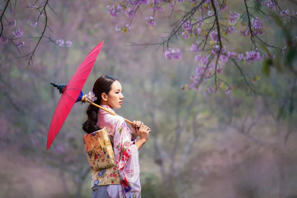 Kırmızı Şemsiyeli Bir Kimono Giyen Japon Kız Japonya Ilkbaharda Kiraz — Stok fotoğraf