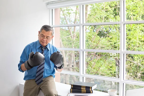 Business people wear boxing gloves Thinking about business planning. Businessman in boxing gloves at the office.