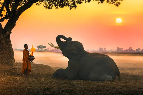 Słoń Zasłużył Miskę Mnicha Zachód Słońca Niebo Tle Krapho Tha — Zdjęcie stockowe