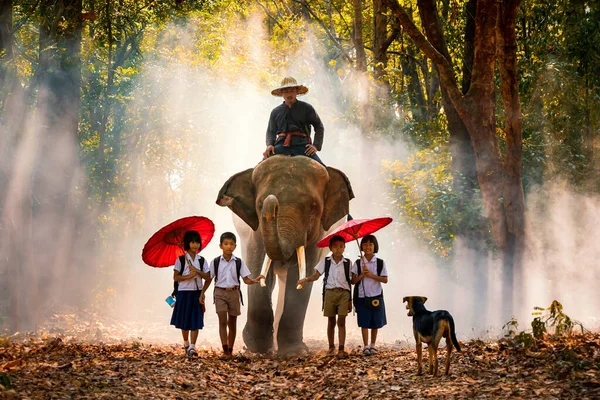 Mahout Egyenruhás Gyerekek Elefántokat Nevelnek Erdőben Egy Kutyával Tha Tum — Stock Fotó