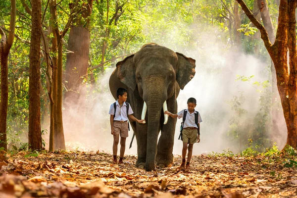Mali Azjatyccy Chłopcy Mundurach Wychowują Słonia Chodniku Lesie — Zdjęcie stockowe