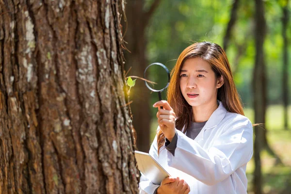 Ботанический Ученый Обследование Ботаников Женщина Изучающая Растения Лесу — стоковое фото