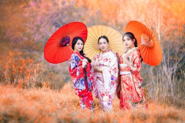 Sonbaharda kırmızı şemsiye taşıyan kimono giyen Japon kadınları. Japonya 'da sonbaharda geleneksel Japon kimonosu giyen güzel bir kadın. Asyalı kadın turistler.