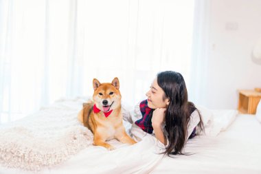 Hayvan sevgisi konsepti. Bir kız, Japon tarzı beyaz bir yatak odasında Shiba Inu köpeğiyle yatıyor..