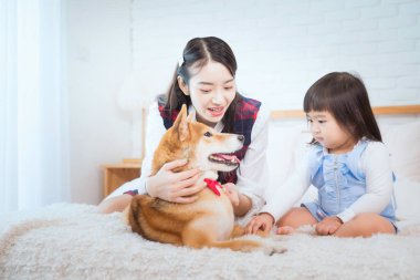 Kız yatağın üzerinde köpekle oynuyor. Shiba Inu köpekleri kırmızı papyon takıyor ve kızlar yatak odasında Japon tarzı elbiseler giyiyor..