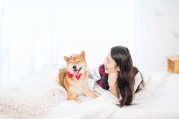 ペット愛好家の概念 少女は犬の頭 を撫でている ベッドルームのベッドで芝犬とアジアの女性が休んでいる 芝犬は世界的に有名な日本の犬です — ストック写真