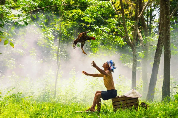 Estilo Vida Conceito Asiático Homem Criar Galo Combate Tailândia Fazendeiro — Fotografia de Stock