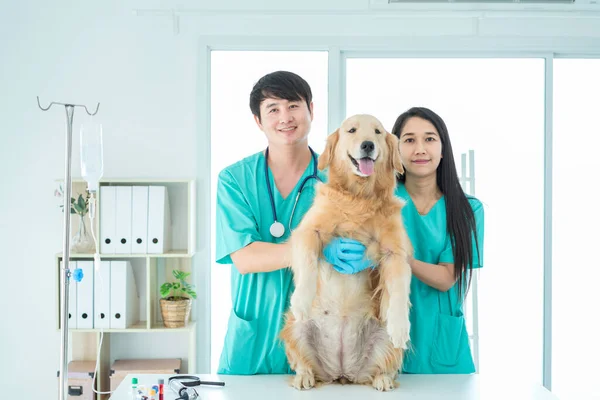 Conceito Veterinário Equipe Jovem Profissional Grupo Médicos Mostrando Polegares Para — Fotografia de Stock