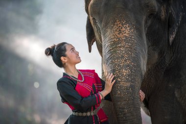 Kırmızı şemsiye tutan ve fillerle yaşayan yerli elbiseli kadınlar. Asyalı kadın ve ormandaki büyük fil. Asya kırsalında güzel bir kızla fil, Surin, Tayland.