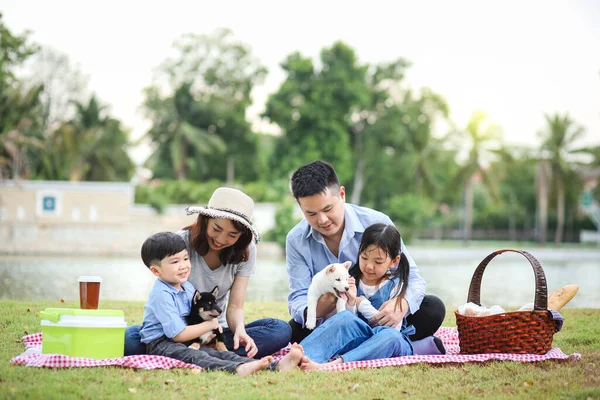 An Asian family plays with a Shiba Inu dog. Family has father, mother and son, daughter. Picnicking in the garden.