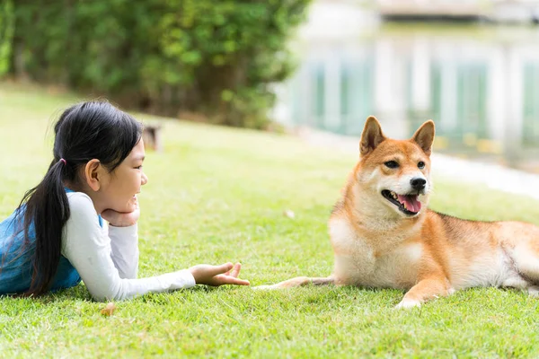 Pet Lover Asian Girl Playing Shiba Inu Dog Park Spring — Stock fotografie