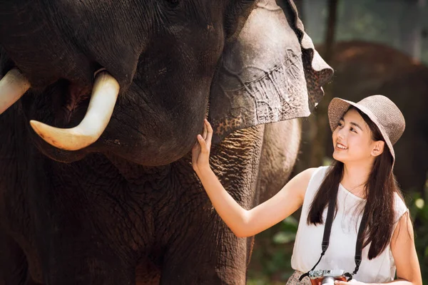 Turisté Užívají Divokými Slony Lese Cestovní Ruch Asijské Ženy Drží — Stock fotografie