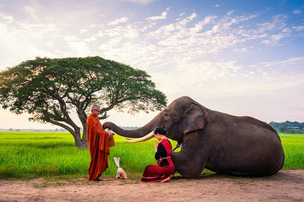 Thai Emberek Elefánt Együtt Adnak Alamizsnát Szerzetesnek — Stock Fotó