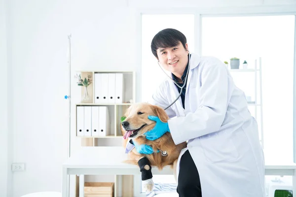 獣医は笑っています動物病院のゴールデンレトリバー犬に満足しています — ストック写真
