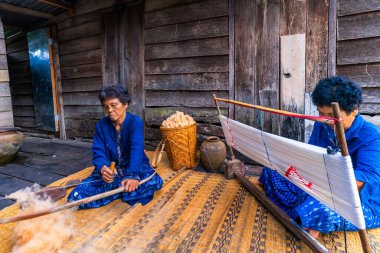 Tayland çivit pamuğunun ustaları. Yerel Usta, Sakon Nakhon bölgesindeki orijinal Indigo Cotton Weaver 'dır. Taylandlı yaşlı kadın doğal renk iplikleri ya da iplikleri dokuduğunu gösteriyor..