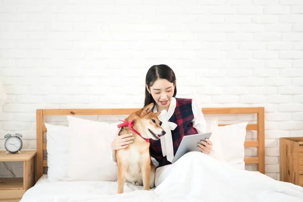 ペット好き 芝犬とアジアの女性は ベッドルームで 女の子と犬はベッドの上のタブレットを使用しています — ストック写真