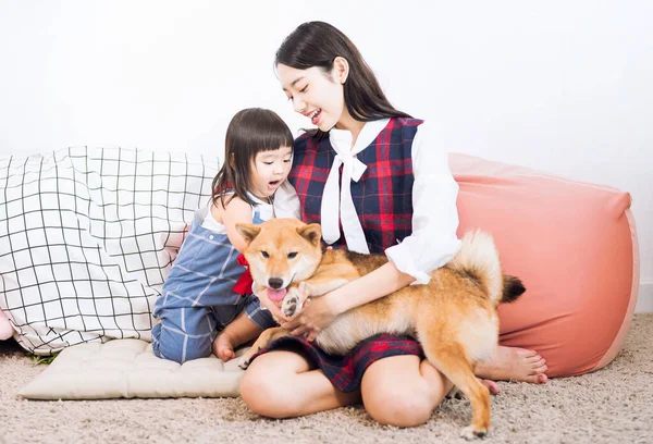 ペット愛好家の概念 白い和室のソファの上に芝犬を連れた少女と若い女性 — ストック写真
