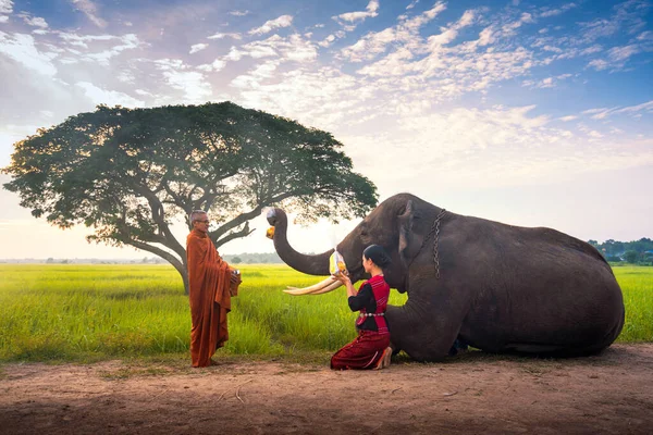 Tajlandczycy Słoń Wspólnie Dają Jałmużnę Mnichowi — Zdjęcie stockowe