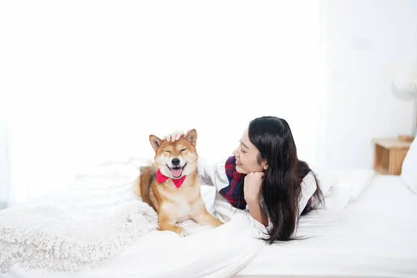 ペット愛好家の概念 アジアの女性が遊んでるのベッドルームの白いベッドの上の犬と — ストック写真