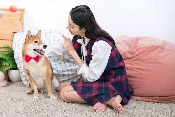 その少女は居間で柴犬と遊ぶ アジアの女性は座って待つために犬を教え訓練しています — ストック写真