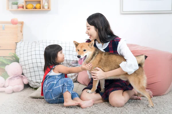 ペット愛好家の概念 白い和室のソファの上に芝犬を連れた少女と若い女性 — ストック写真