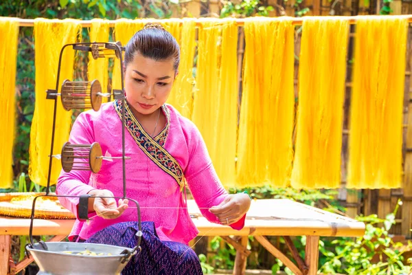 Sanatları Işçilik Pek Iplikler Için Ipek Yetiştirme Tekstil Dokuma Ustalığında — Stok fotoğraf