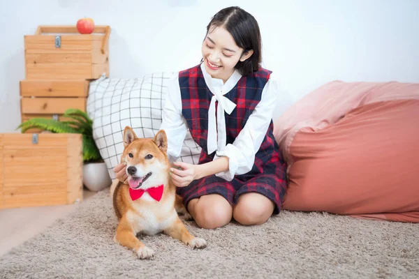 ペット愛好家の概念 白い和室のソファの上に柴犬の女の子 — ストック写真