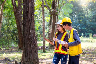 Yöneticiler ormanda yollar inşa ediyorlar. Genç mühendis kadın elinde bir plan tutuyor. Mühendis ekibi ormanda proje üzerinde çalışıyor. Teknik Operatörler ve İşçiler.
