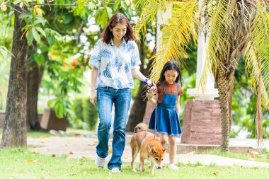 Anneler ve kızları olan aileler baharda Shiba Inu köpekleriyle parkta yürüyorlar.