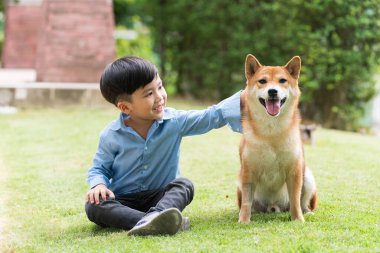 Asian boy are training for Shiba Inu dogs in the garden. An Asian boy plays with a Shiba Inu dog who has a picnic in the garden. clipart