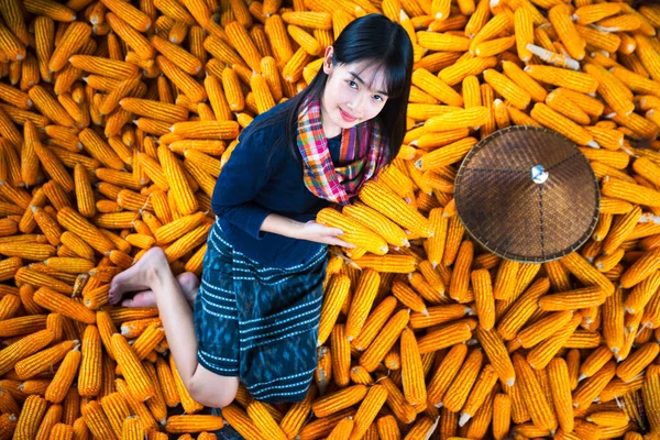 Thai Lány Visel Nemzeti Kalap Ruha Válasszon Kukoricát Fiatal Visel — Stock Fotó